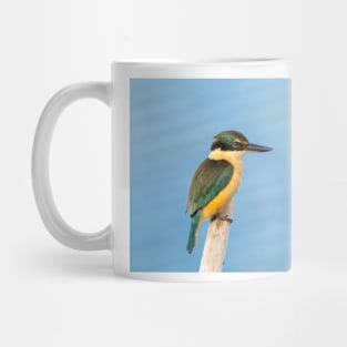 Beautiful sacred kingfisher portrait Mug